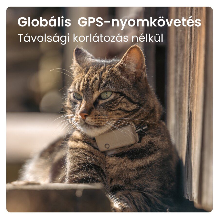 Tractive – CAT Mini GPS vevő - barna - iSTYLE HU