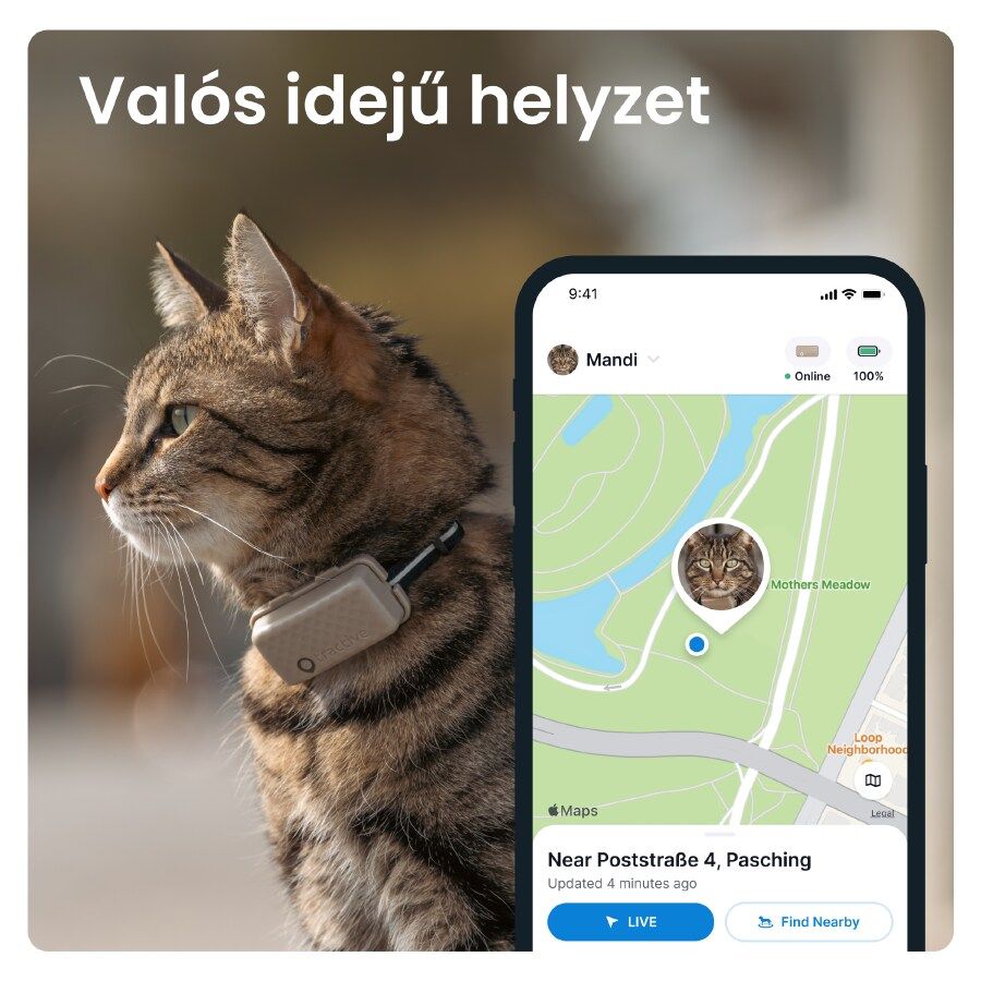 Tractive – CAT Mini GPS vevő - barna - iSTYLE HU