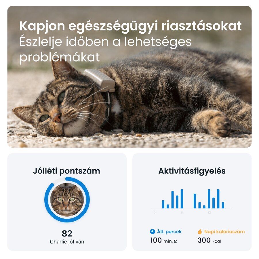 Tractive – CAT Mini GPS vevő - barna - iSTYLE HU