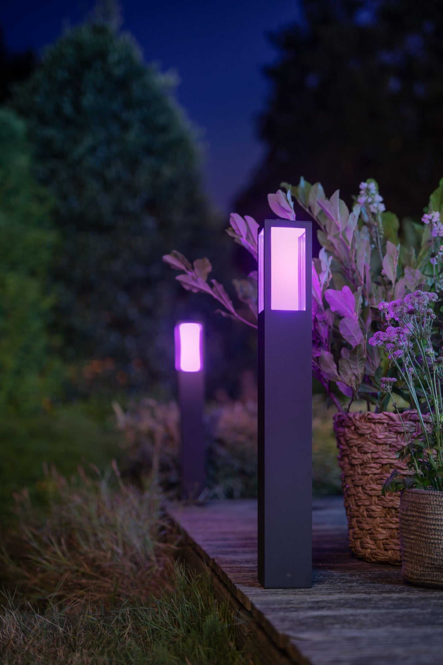 Impress Philips Hue White Ambiance CA EU post black 2x8White 24V
