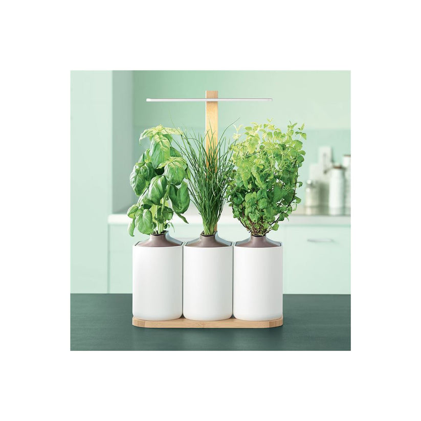 Pret a Pousser – Lilo UE beltéri kert - Open Box - iSTYLE HU