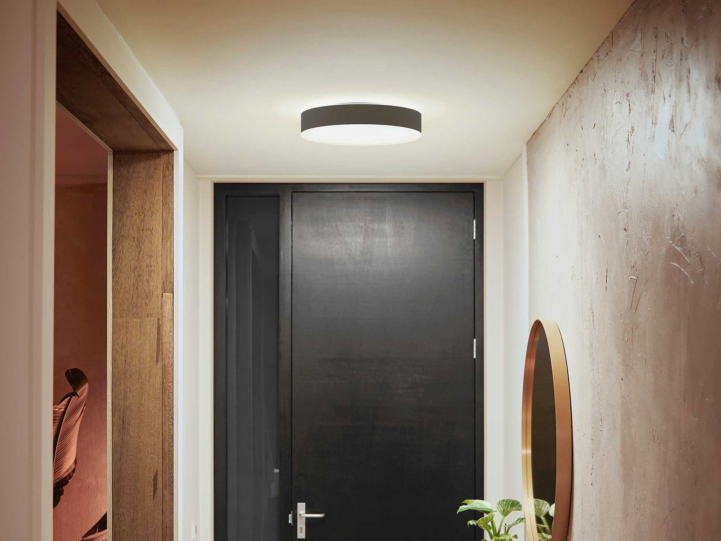 Enrave M Hue ceiling lamp black