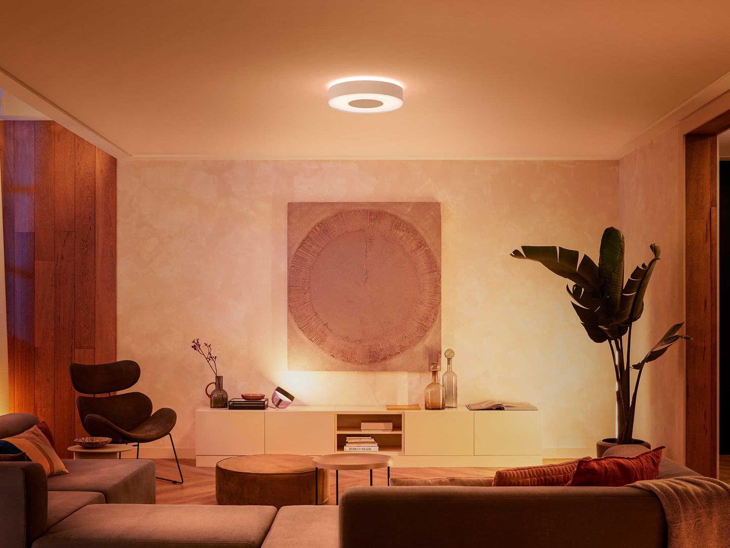Infuse M Hue ceiling lamp white