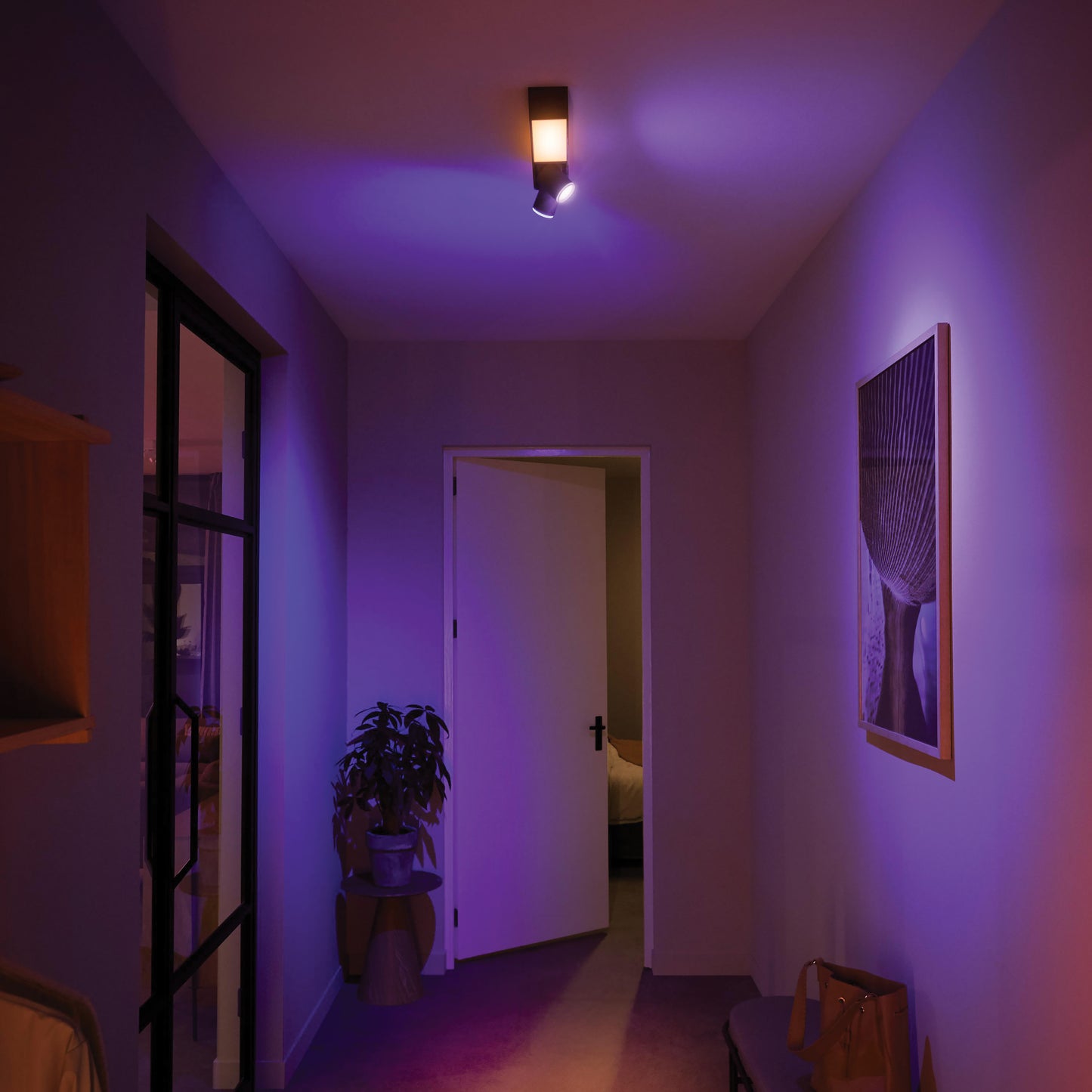 Centris Hue 2-spot black special form