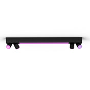 Centris Hue 4-spot black special form