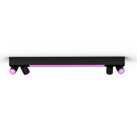 Centris Hue 4-spot black special form