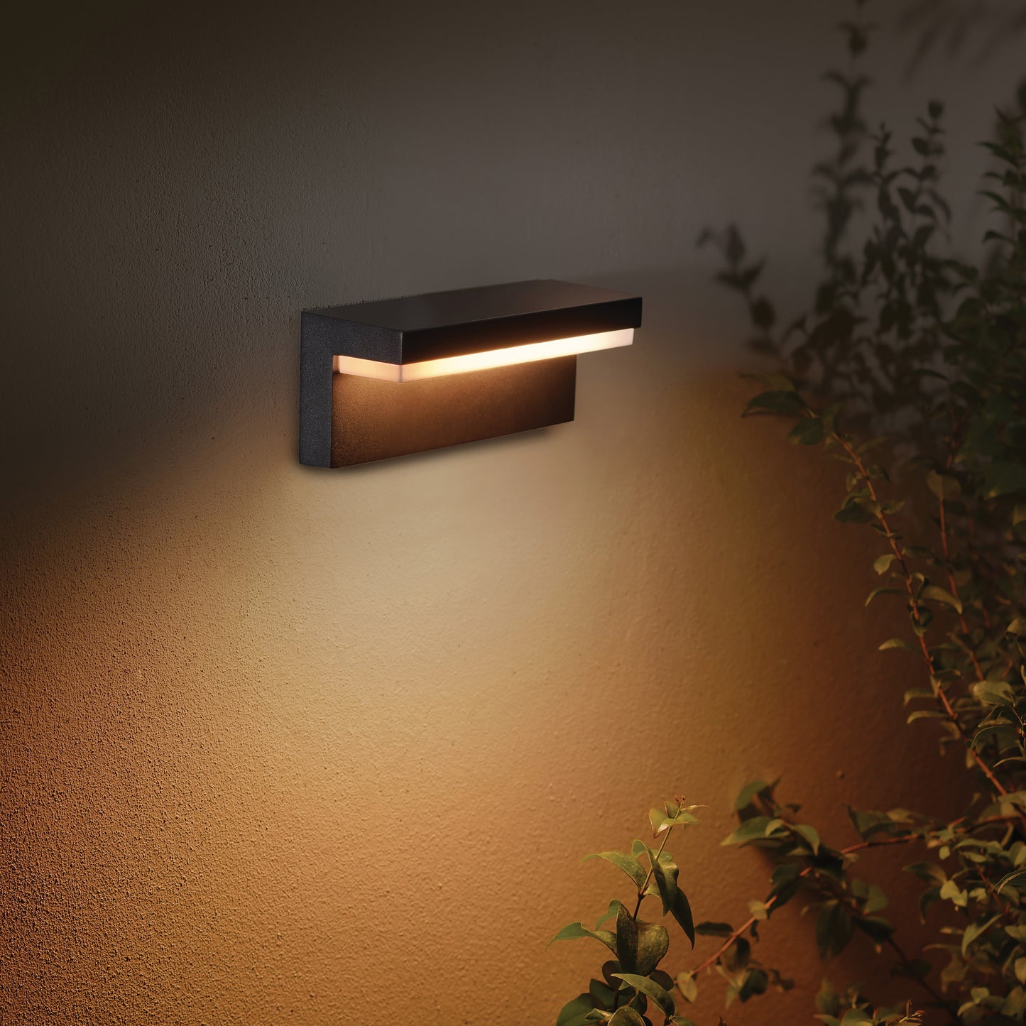 Nyro Philips Hue White Ambiance CA White Ambiancell lantern black 1x13.5