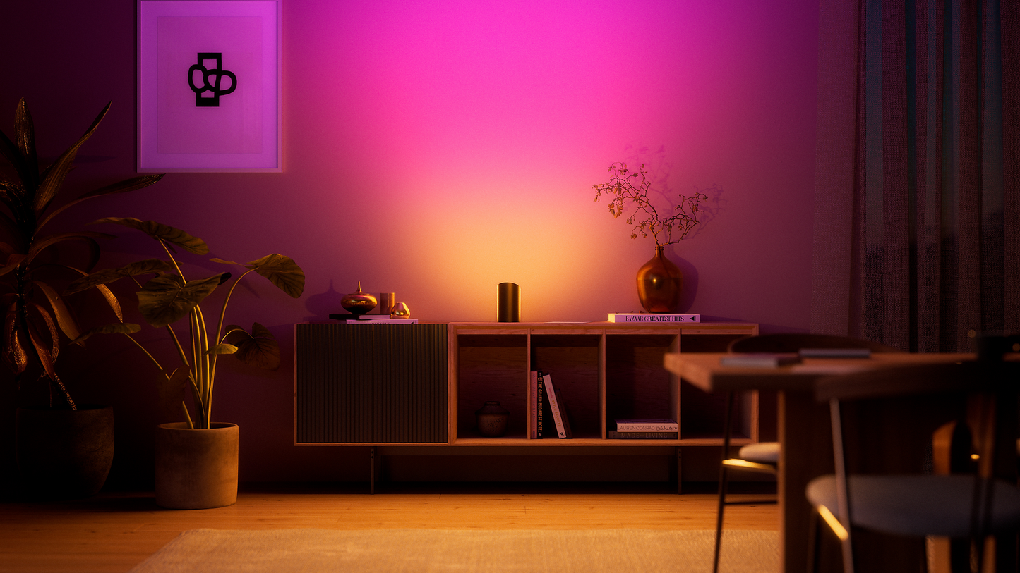 Philips Hue Play White Ambiancell White Ambiancesher 2-pack black EU/UK