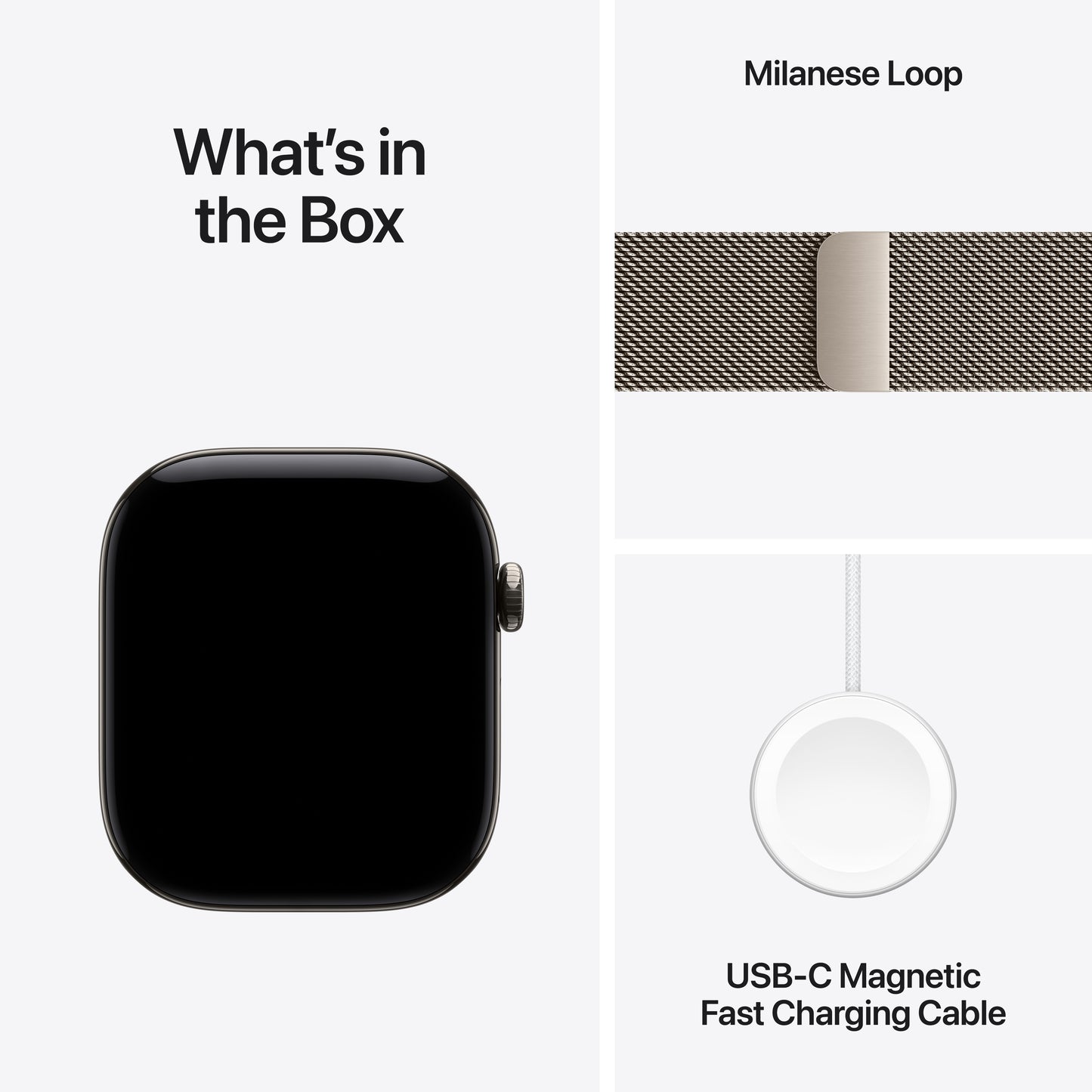 Apple_Watch_Series_12_46mm_GPS_plus_Cellular_Natural_Titanium_Milanese_Loop_Natural_PDP_Image_Position_8__en-WW