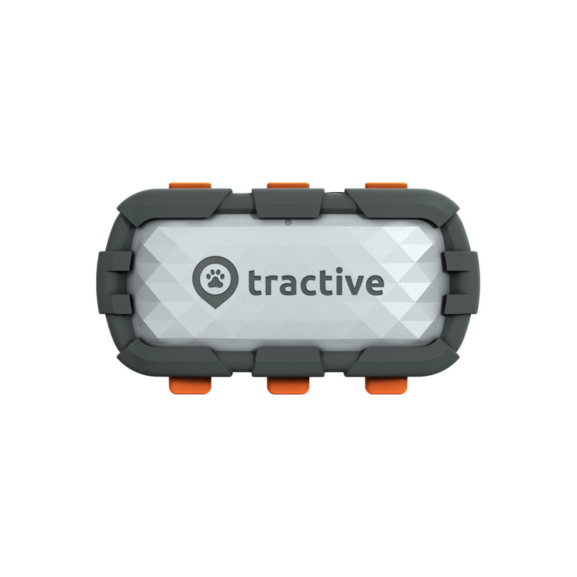 Tractive – Andventure Edition XL Kutya GPS vevő - iSTYLE HU