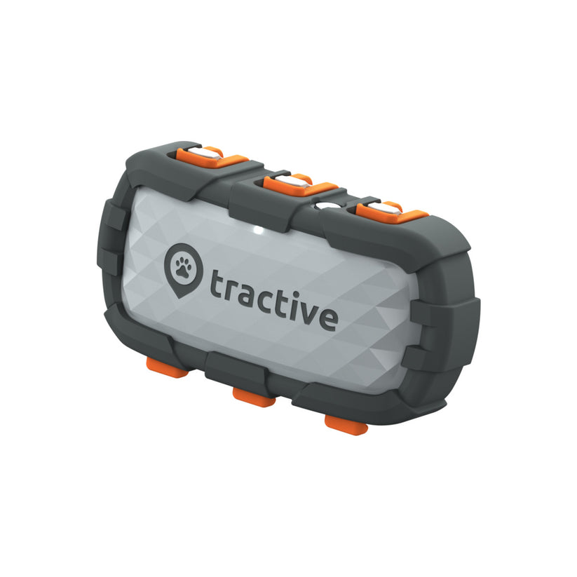 Tractive – Andventure Edition XL Kutya GPS vevő - iSTYLE HU