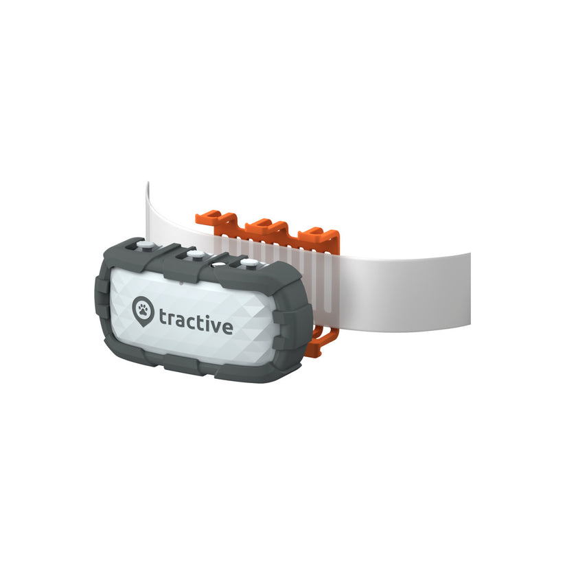 Tractive – Andventure Edition XL Kutya GPS vevő - iSTYLE HU