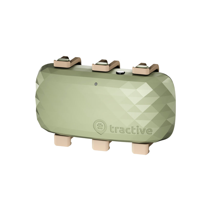 Tractive – Kutya GPS vevő (XL) - zöld - iSTYLE HU