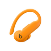 Beats Powerbeats Pro 2