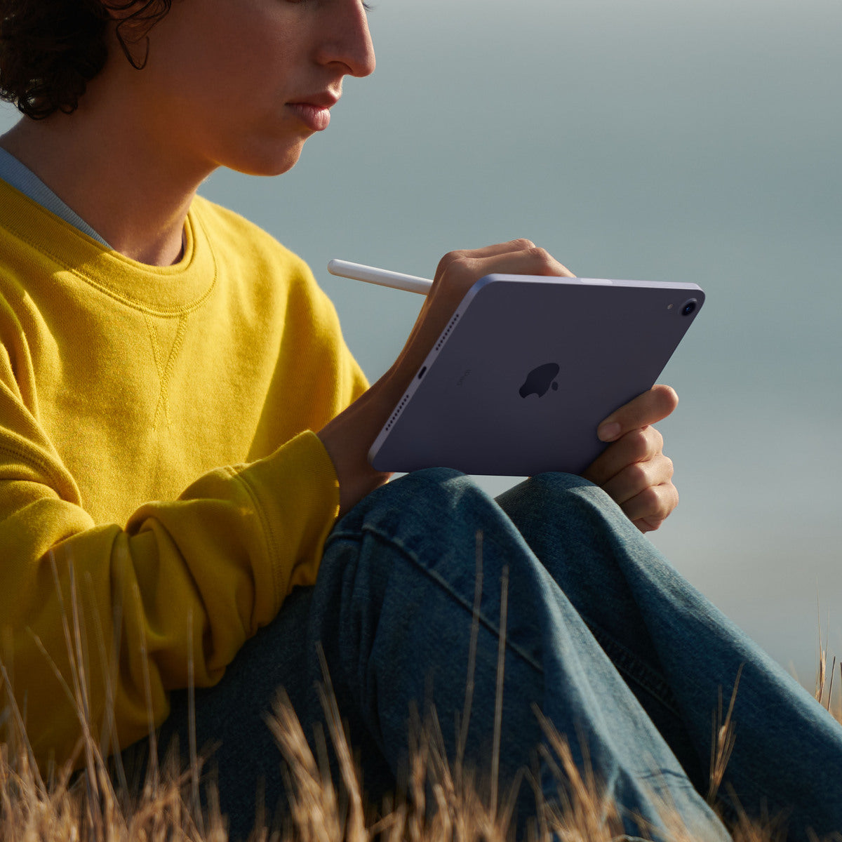 iPad mini Wi-Fi 256GB - csillagfény - iSTYLE HU