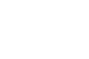 Satechi