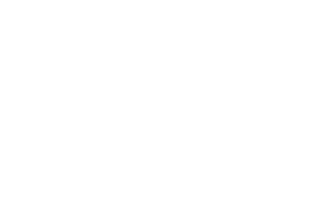 Spigen