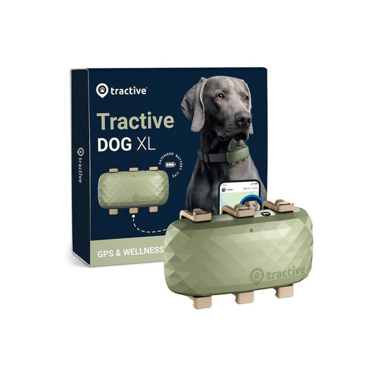Tractive – Kutya GPS vevő (XL) - zöld - iSTYLE HU