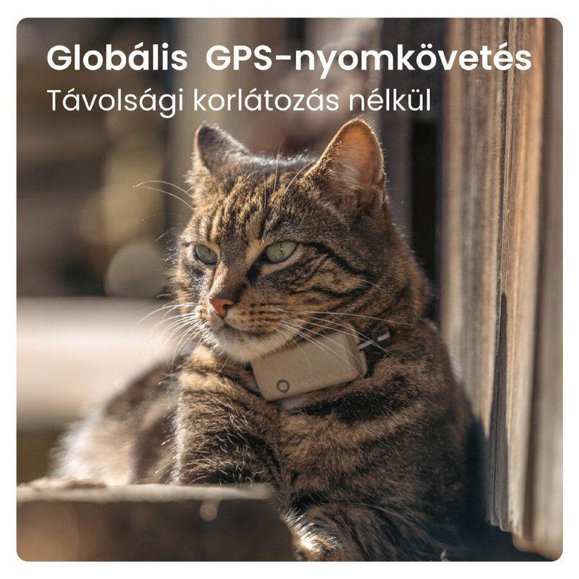 Tractive – CAT Mini GPS vevő - barna - iSTYLE HU