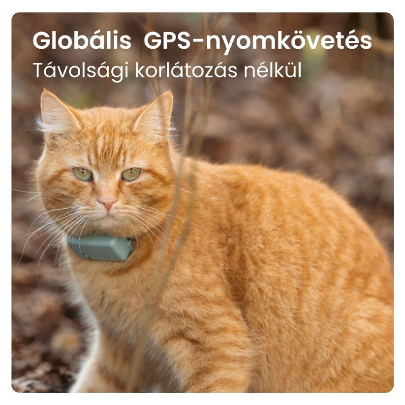 Tractive GPS CAT Mini - Mint - iSTYLE HU
