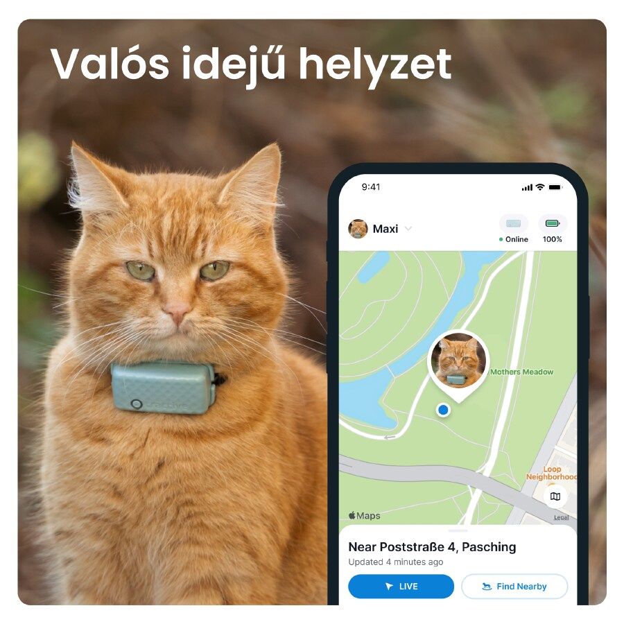 Tractive GPS CAT Mini - Mint - iSTYLE HU